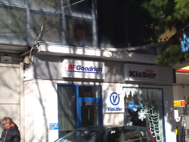 Ευθυμιόπουλος Ελαστικά ViaLider