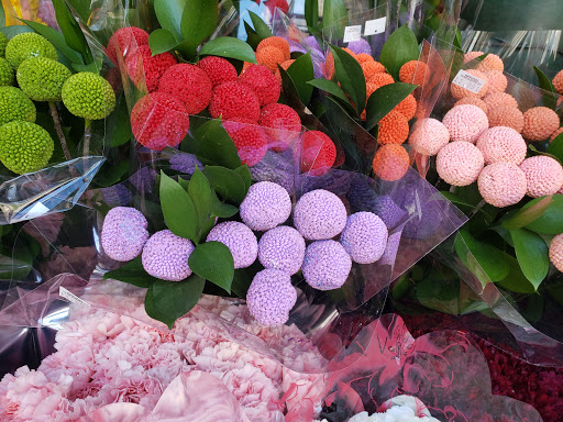 Grocery Store «Natural Market», reviews and photos, 7256 Austin St, Flushing, NY 11375, USA