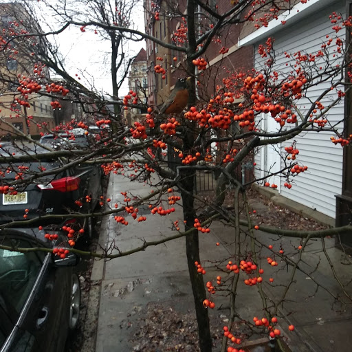 Grocery Store «ACME Markets», reviews and photos, 614 Clinton St, Hoboken, NJ 07030, USA