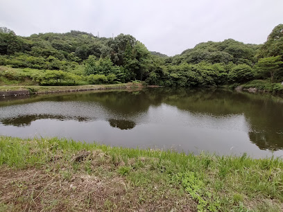 動音寺池