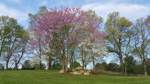 Golf Course «Stonehedge Golf Club», reviews and photos, 15530 M-89, Augusta, MI 49012, USA