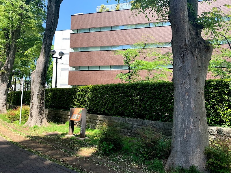 成蹊大学 東京都武蔵野市吉祥寺北町 私立大学 大学 グルコミ