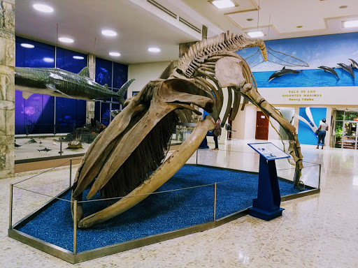 Museo Nacional de Historia Natural ¨Prof. Eugenio de Jesus Marcano¨