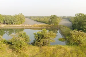 Sudhanyakhali Camp, Sundarban Tiger Reserve image