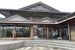 Nikkokyodo Center image