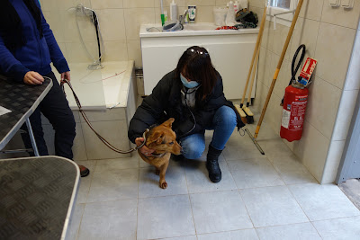 Vétérinaire à Domicile de Montpellier - Dr Lamure-Sauvaire à Montpellier
