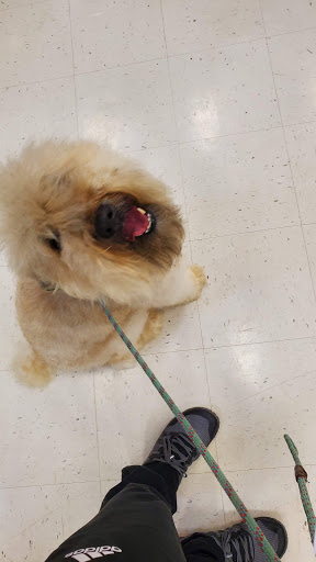 Animal Feed Store «Wilco Farm Store», reviews and photos, 1905 NE Four Acre Pl, Corvallis, OR 97330, USA