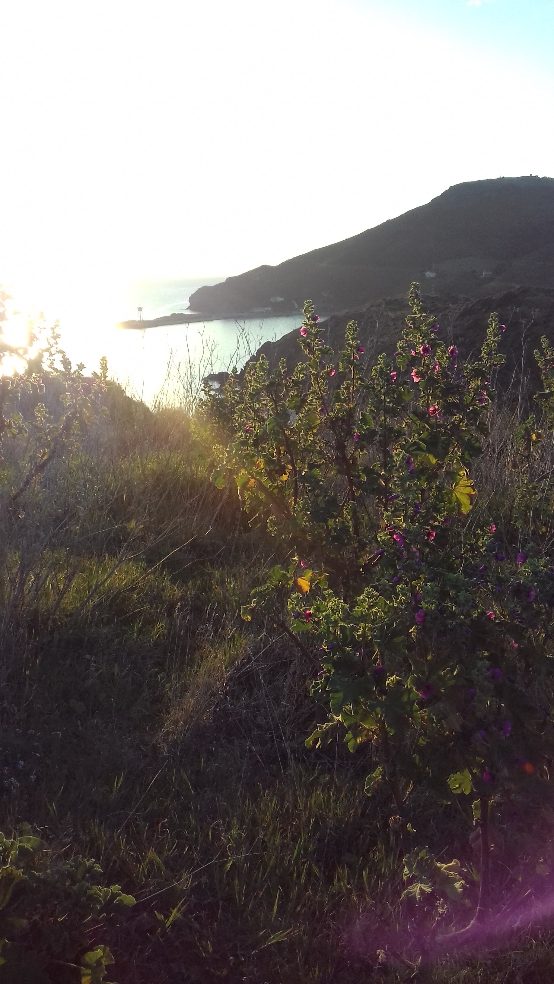 Photo n° 7 de l'avis de Isabelle.a fait le 24/03/2019 à 07:01