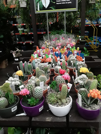 Home Improvement Store «The Home Depot», reviews and photos, 202 Airport Plaza, Farmingdale, NY 11735, USA