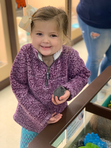 Pet Store «Petland», reviews and photos, 920 Hebron Rd, Heath, OH 43056, USA