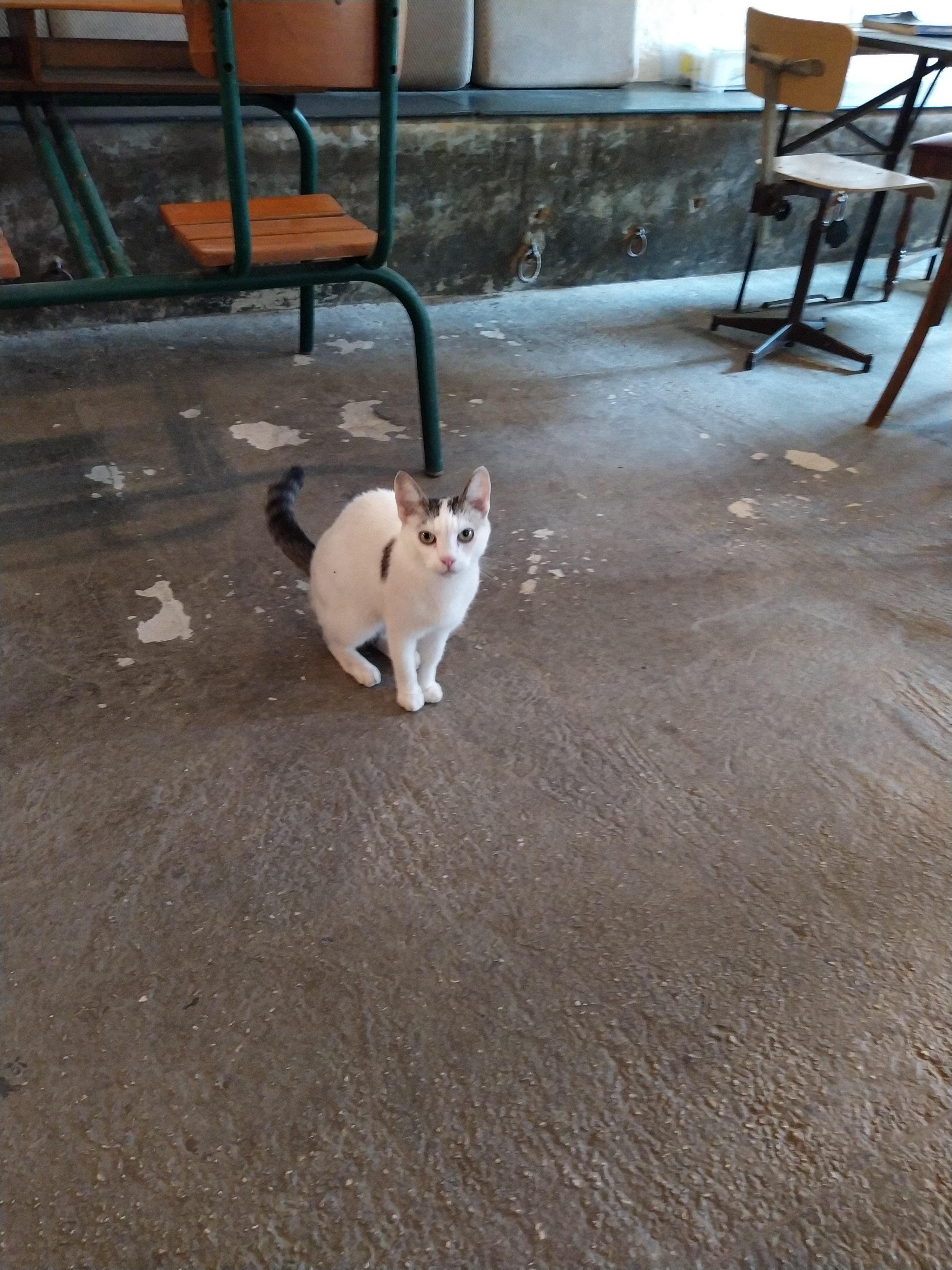 Photo n° 1 de l'avis de Henk.a fait le 27/08/2020 à 18:49