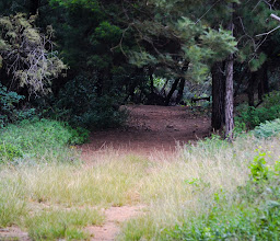 Hedianga Farm photo