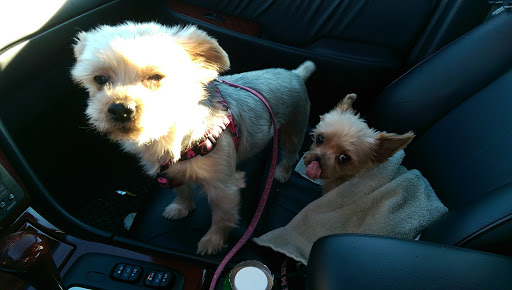 Pet Supply Store «PetSmart», reviews and photos, 1297 Promenade Pl, Eagan, MN 55121, USA