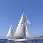 Photo n° 3 de l'avis de celine.e fait le 31/08/2023 à 10:23 pour Isula Vela à Ajaccio