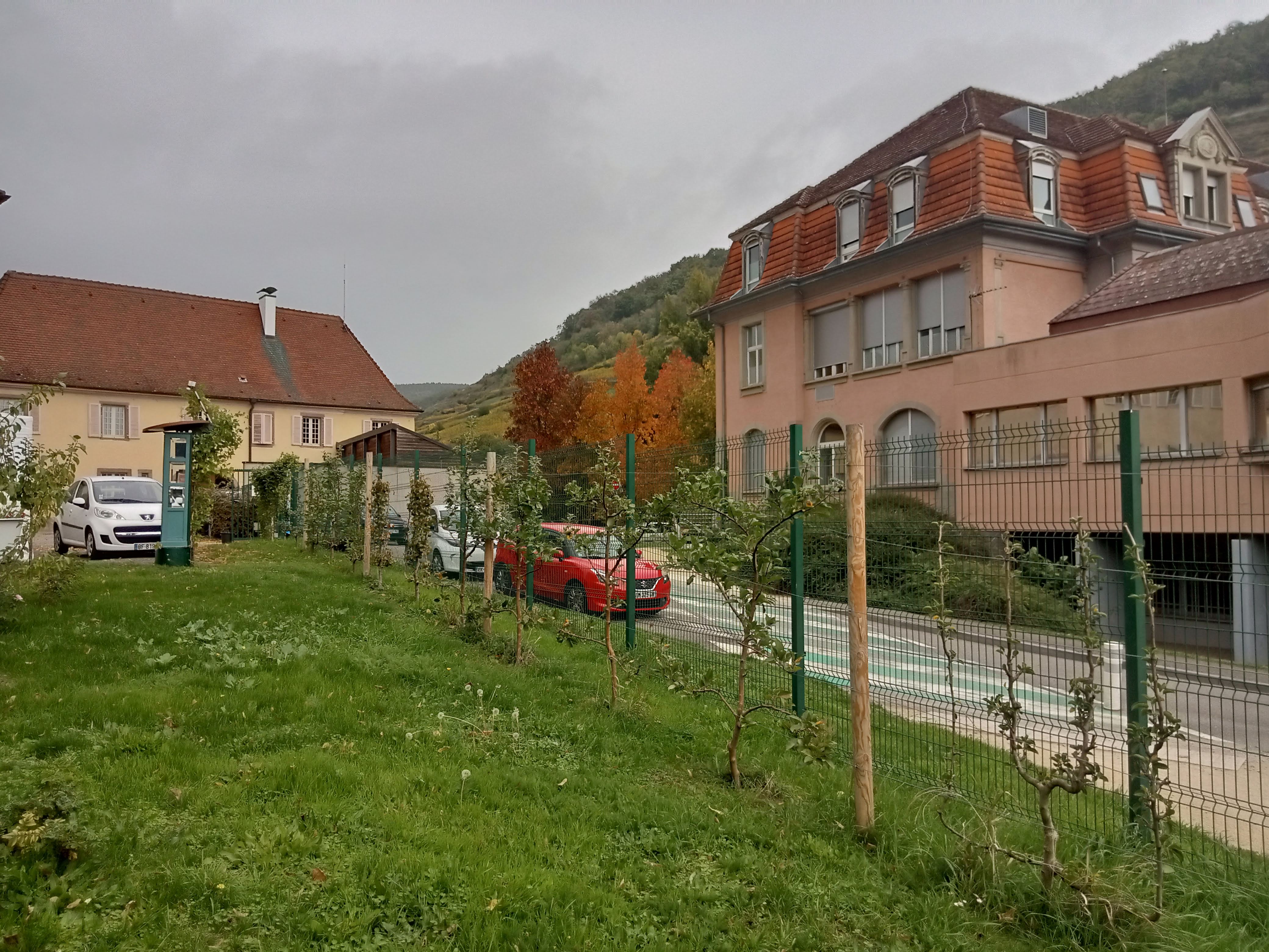 Photo n° 4 de l'avis de B'sou.i fait le 16/10/2022 à 08:06