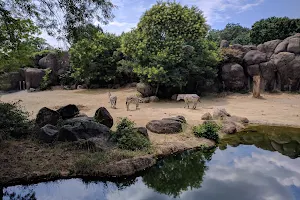 The Maryland Zoo in Baltimore image
