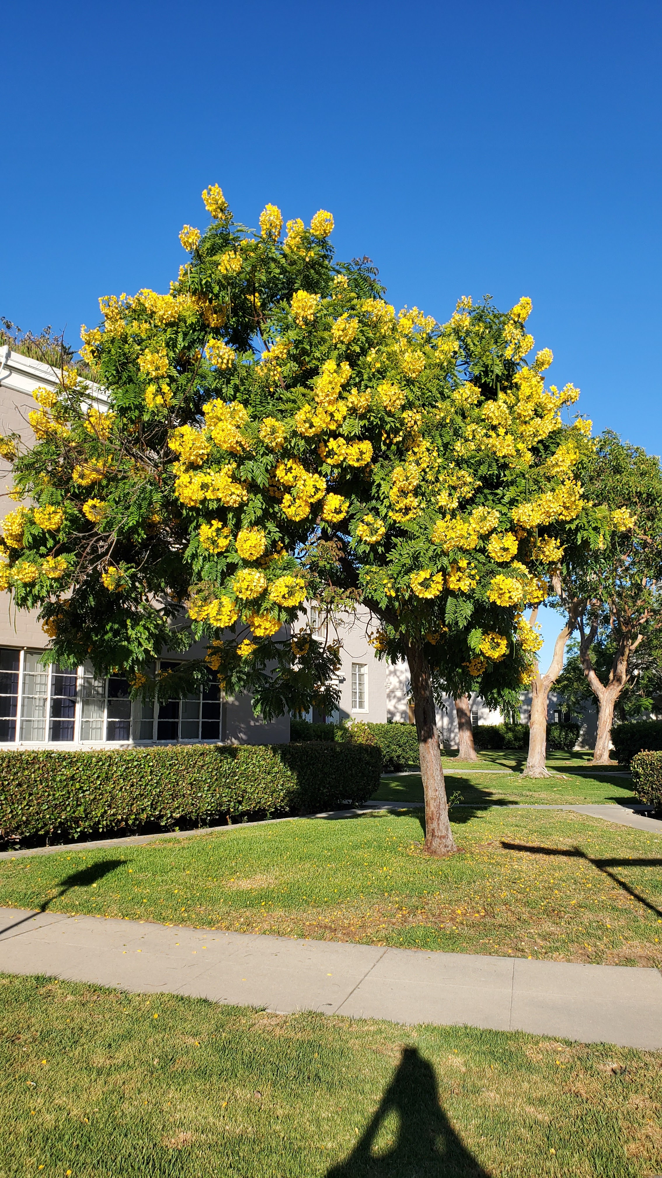 Park La Brea Apartments - 18