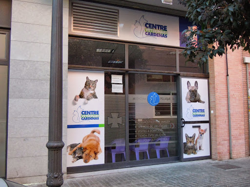Clínica Veterinaria Maritim - Cárdenas en Valencia