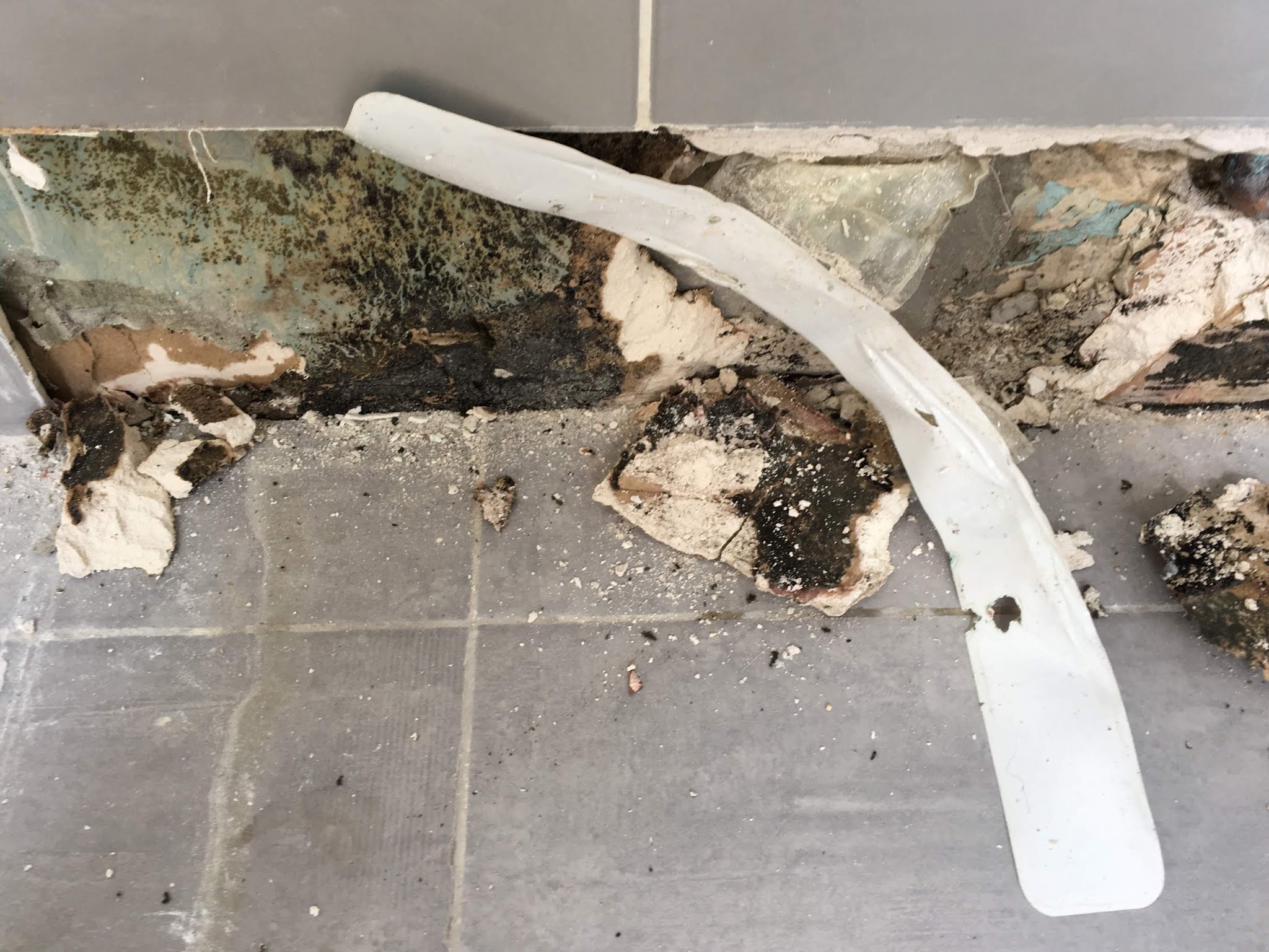 Photo n° 15 de l'avis de Eddine.o fait le 27/03/2019 à 07:25