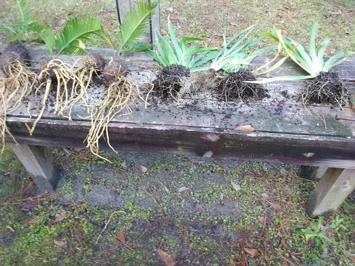 Park «Cain Griffin Park», reviews and photos, E 17th St, Lynn Haven, FL 32444, USA