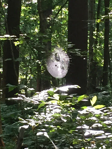 Nature Preserve «Kokiwanee Nature Preserve», reviews and photos, 5825 E 50 S, Lagro, IN 46941, USA