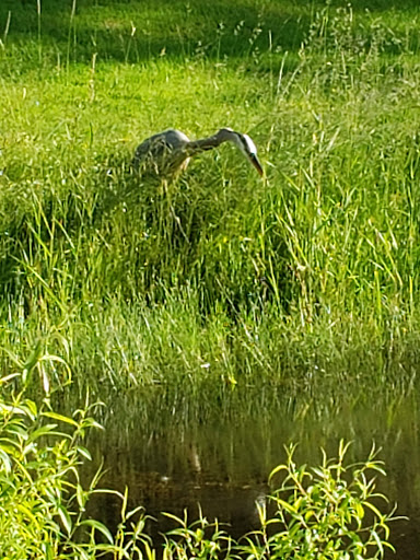 Golf Course «Arrowhead Golf Course», reviews and photos, 7185 E Taft Rd, East Syracuse, NY 13057, USA