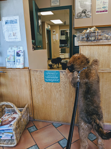 Small Creatures Pet Clinic image