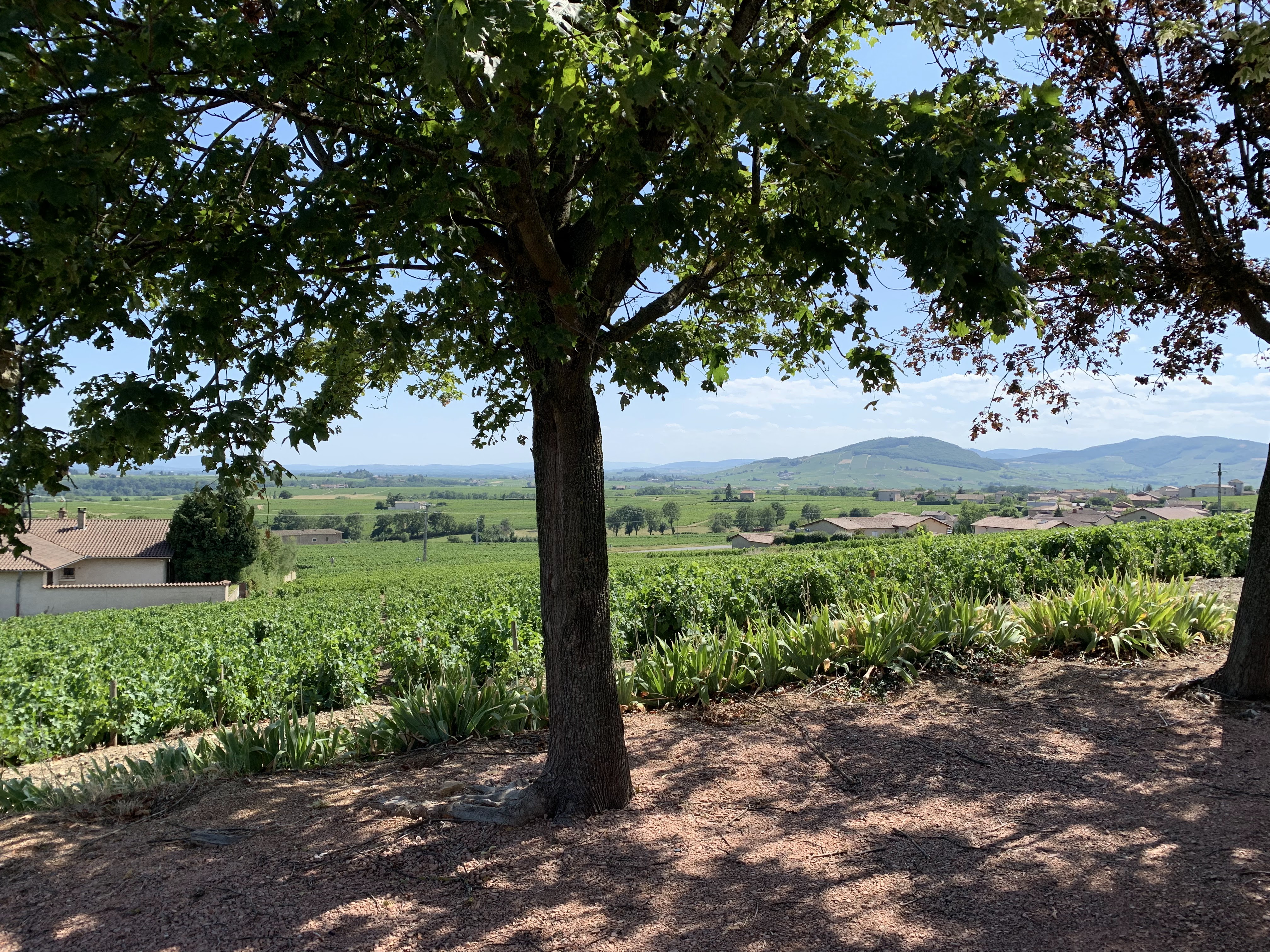 Photo n° 2 de l'avis de Samuel.a fait le 10/08/2019 à 14:36