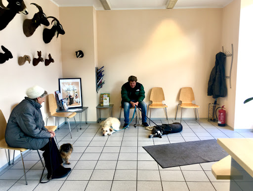 Dr. med.vet. Annabelle Culas unter Munich, Bayern
