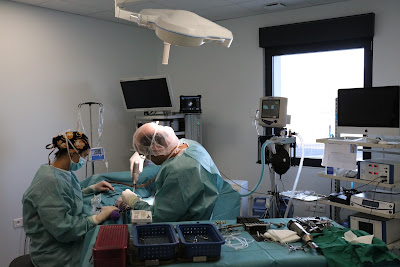 Clinique vétérinaire AniCura LorraineVet à Ludres