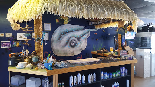 Tropical Fish Store «Saltwater Island», reviews and photos, 15214 Manchester Rd, Ballwin, MO 63011, USA