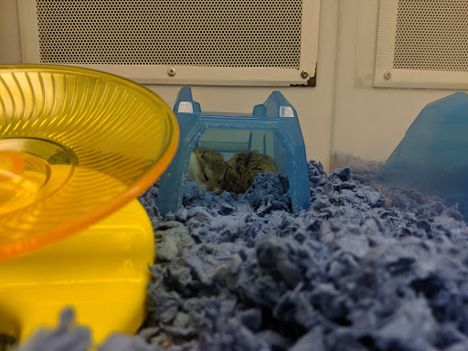 Pet Supply Store «Petco Animal Supplies», reviews and photos, 5263 Campbell Blvd, Nottingham, MD 21236, USA