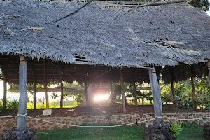 Kamehameha Iki Park image