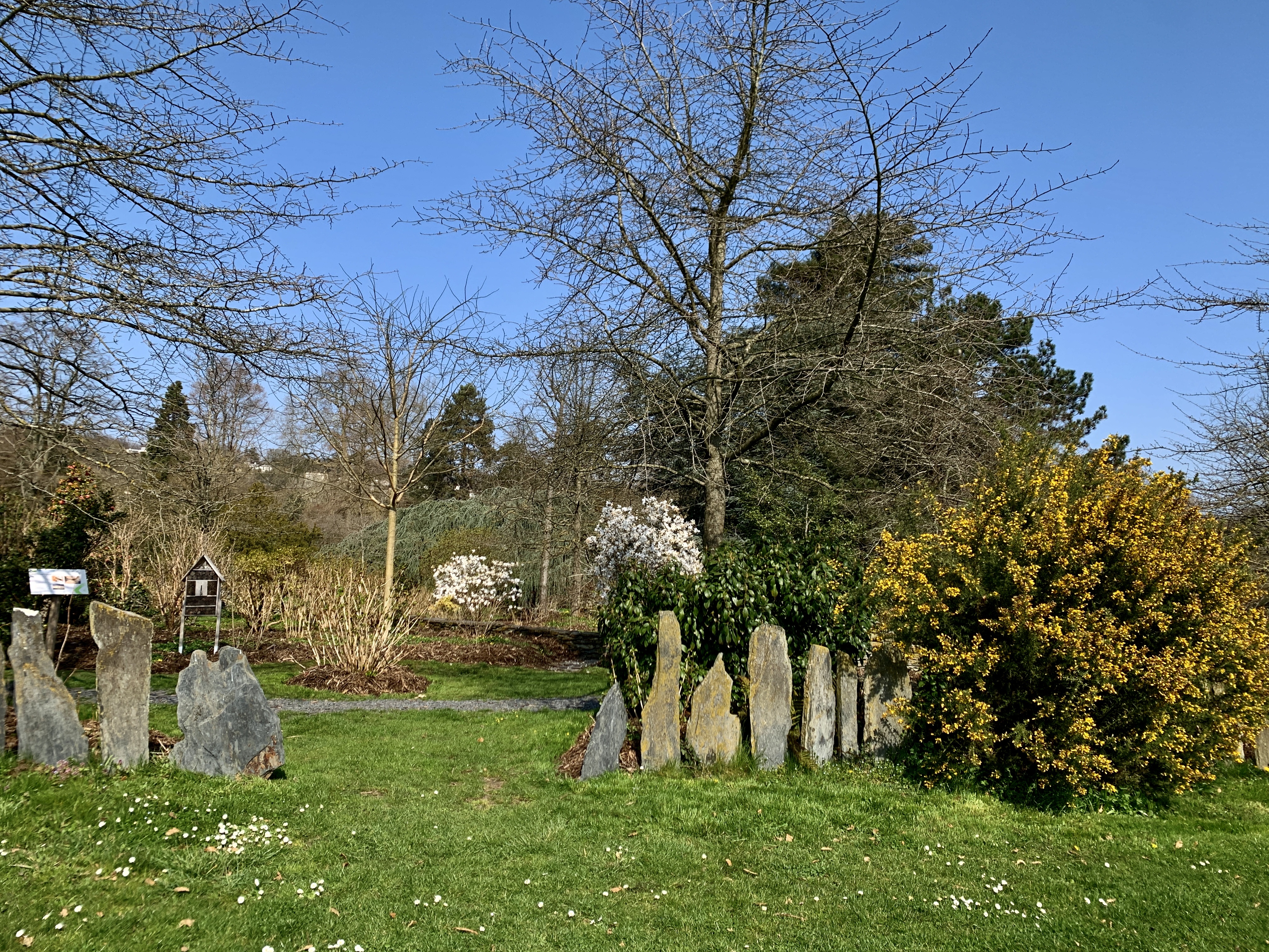 Photo n° 15 de l'avis de Agnès. fait le 23/03/2022 à 10:35
