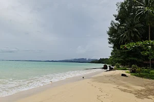 Coconut beach image