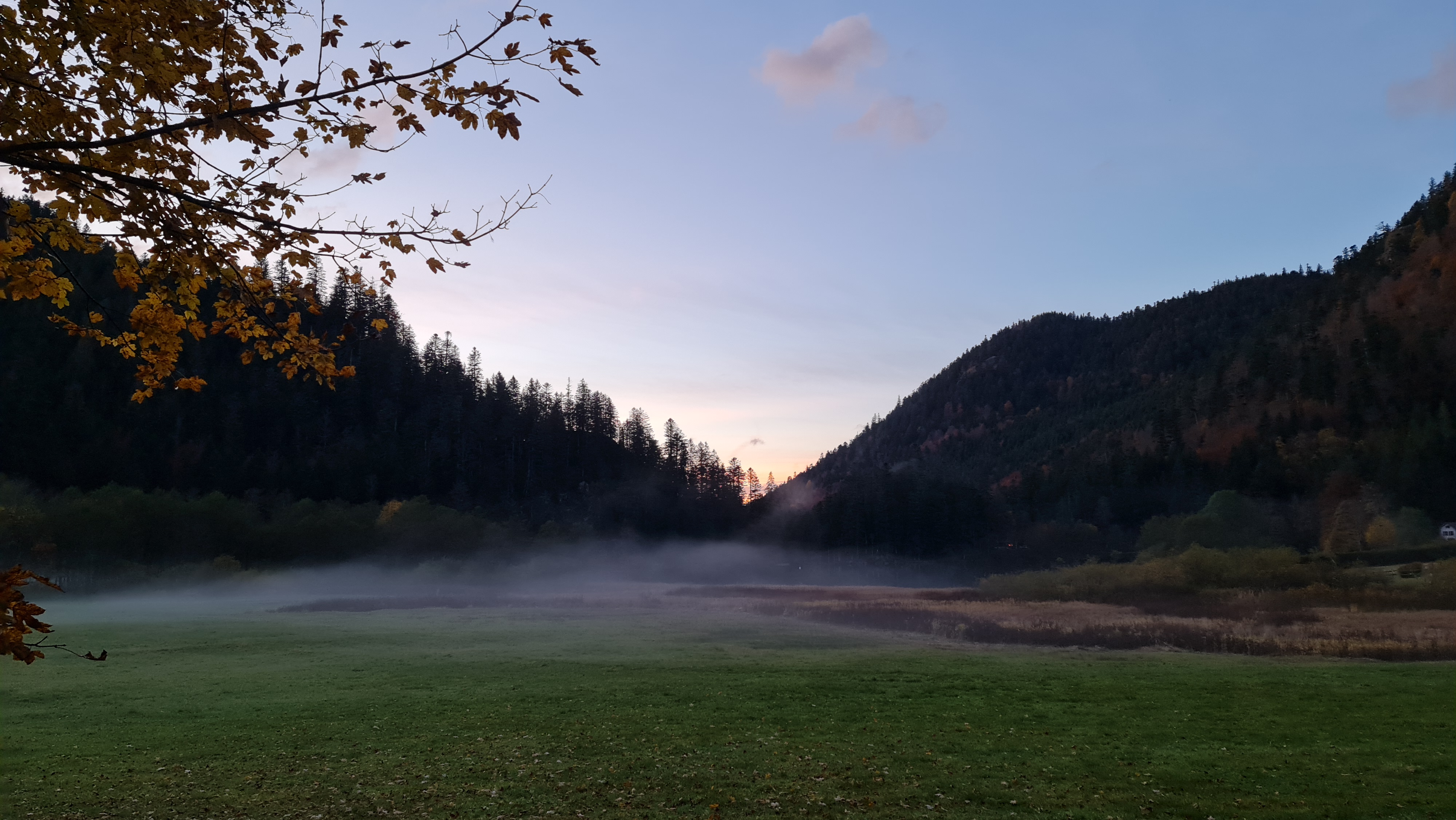 Photo n° 3 de l'avis de Marie_laure.i fait le 31/10/2021 à 21:14