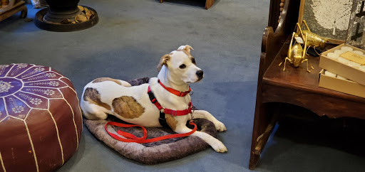 Book Store «Northshire Bookstore», reviews and photos, 424 Broadway, Saratoga Springs, NY 12866, USA