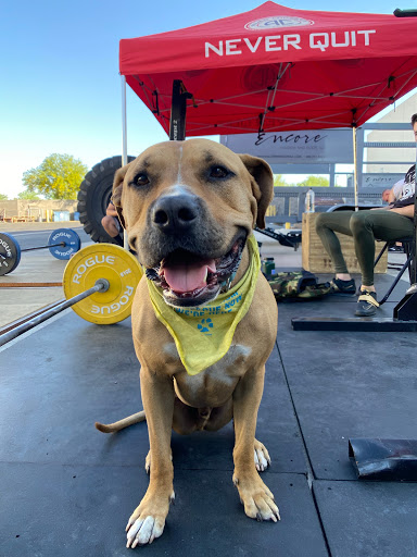 Gym «CrossFit Infinite Strength», reviews and photos, 8425 N 90th St #3, Scottsdale, AZ 85258, USA