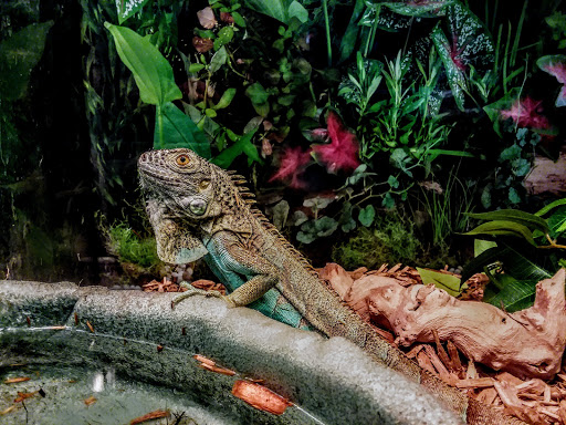 Pet Store «Suncoast Pets», reviews and photos, 7117 US-98, Panama City Beach, FL 32407, USA