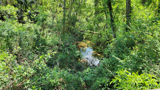 Nature Preserve «Tree Hill Nature Center», reviews and photos, 7152 Lone Star Rd, Jacksonville, FL 32211, USA