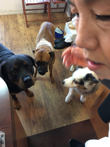 Dry Cleaner «Cleaners La Jolla», reviews and photos, 6902 La Jolla Blvd A, La Jolla, CA 92037, USA