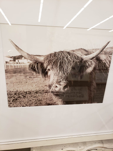 Craft Store «Hobby Lobby», reviews and photos, 255 Lakeshore Pkwy, Homewood, AL 35209, USA