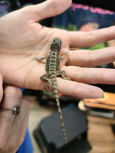 Pet Store «Petland», reviews and photos, 5470 Dixie Hwy, Fairfield, OH 45014, USA