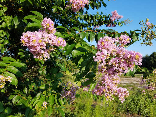 Golf Club «Santa Rosa Golf & Beach Club», reviews and photos, 334 Golf Club Dr, Santa Rosa Beach, FL 32459, USA