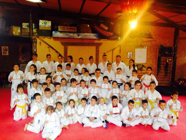 CSC Karate Oradea - <nil>