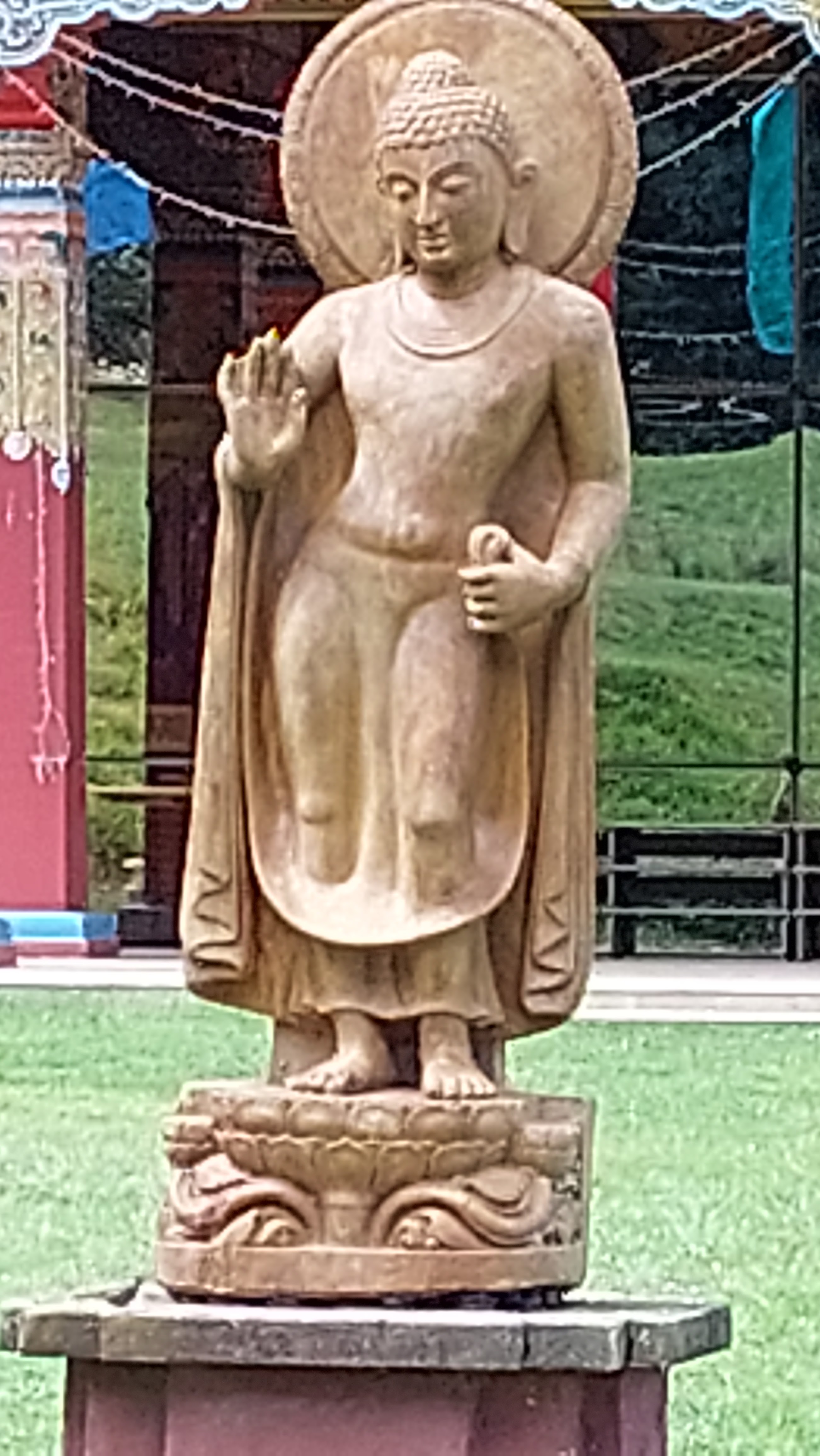 Photo n° 8 de l'avis de VincenT.u fait le 09/08/2021 à 10:16