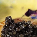 Photo n°1 de l'avis de Philippe.a fait le 07/08/2021 à 09:10 sur le  Henri Restaurant à Viareggio