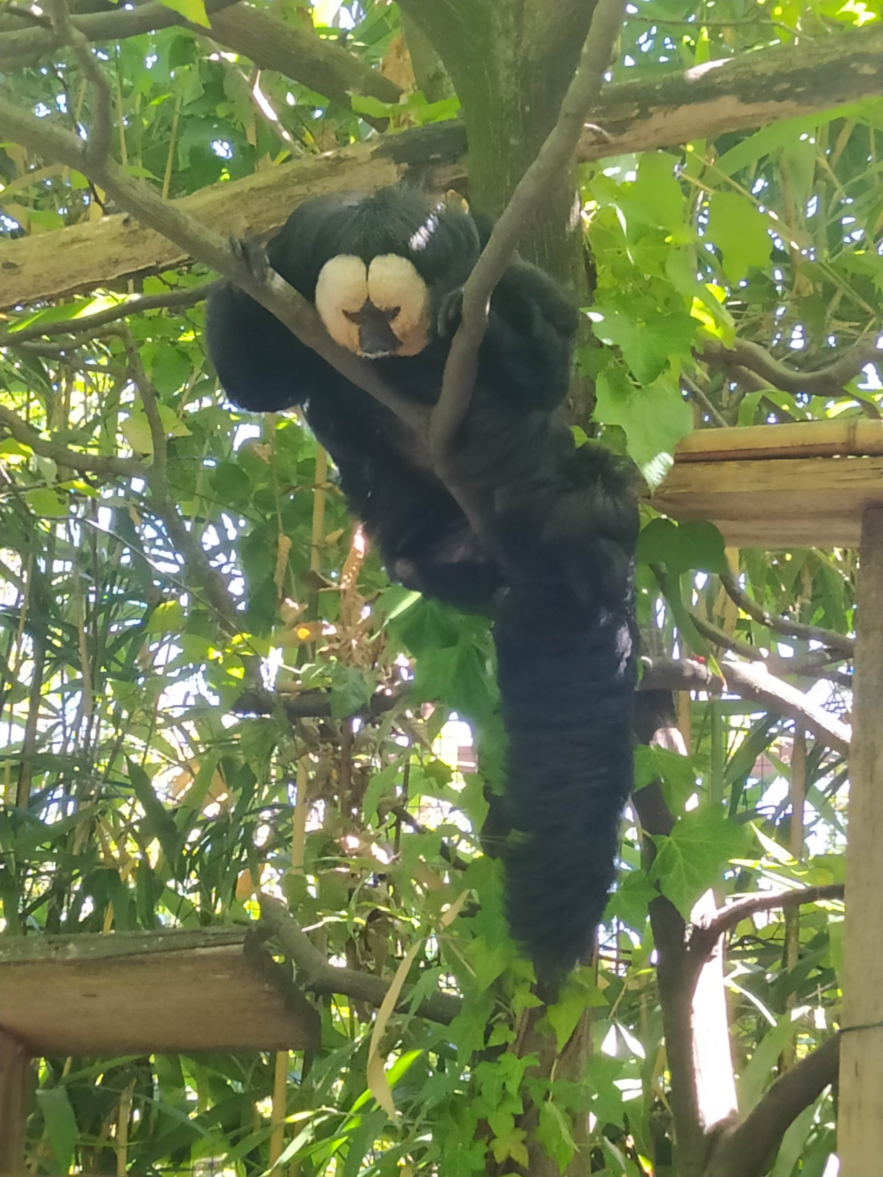 Photo n° 8 de l'avis de Céli.. fait le 11/08/2023 à 16:44