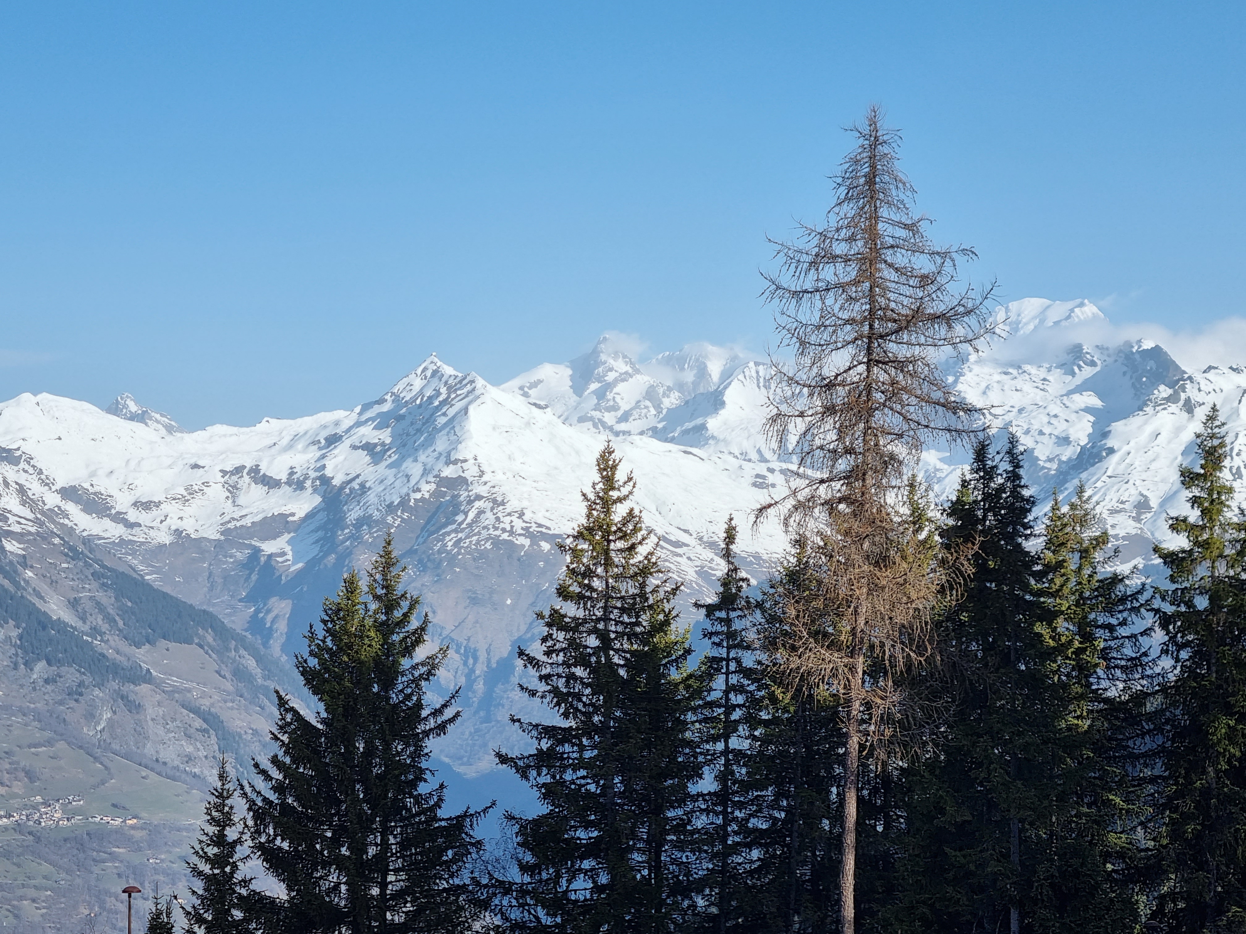 Photo n° 1 de l'avis de Susie. fait le 27/02/2023 à 12:23