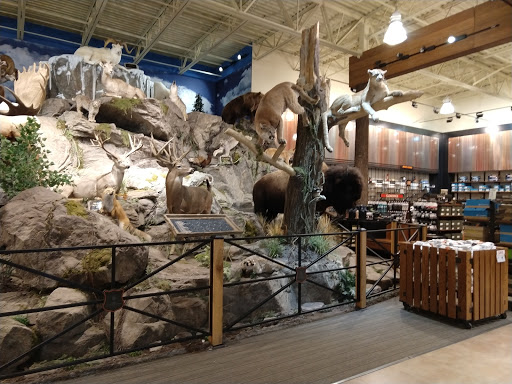 Outdoor Sports Store «Field & Stream», reviews and photos, 2075 Interchange Rd, Erie, PA 16509, USA